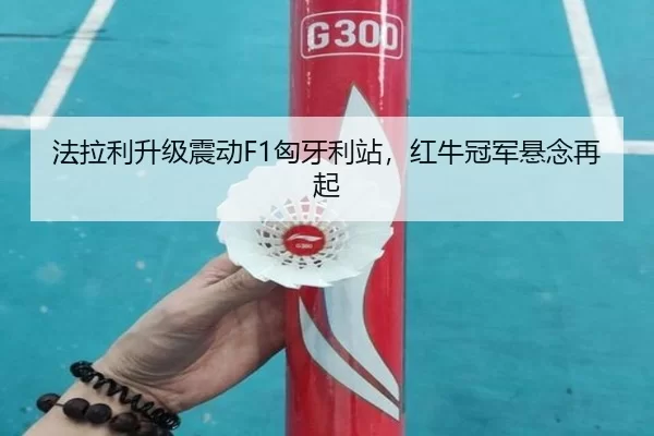 法拉利升级震动F1匈牙利站，红牛冠军悬念再起